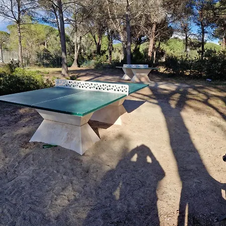 Grand T3 - Terrasse Les Pieds Dans L'eau - Climatisation Διαμέρισμα